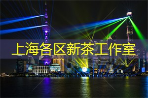 爱上海：湖面上盛开着各种花朵