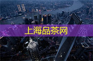 上海论坛献上最新研究成果：引领城市创新！